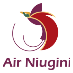 Air Niugini Partner