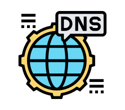 dns