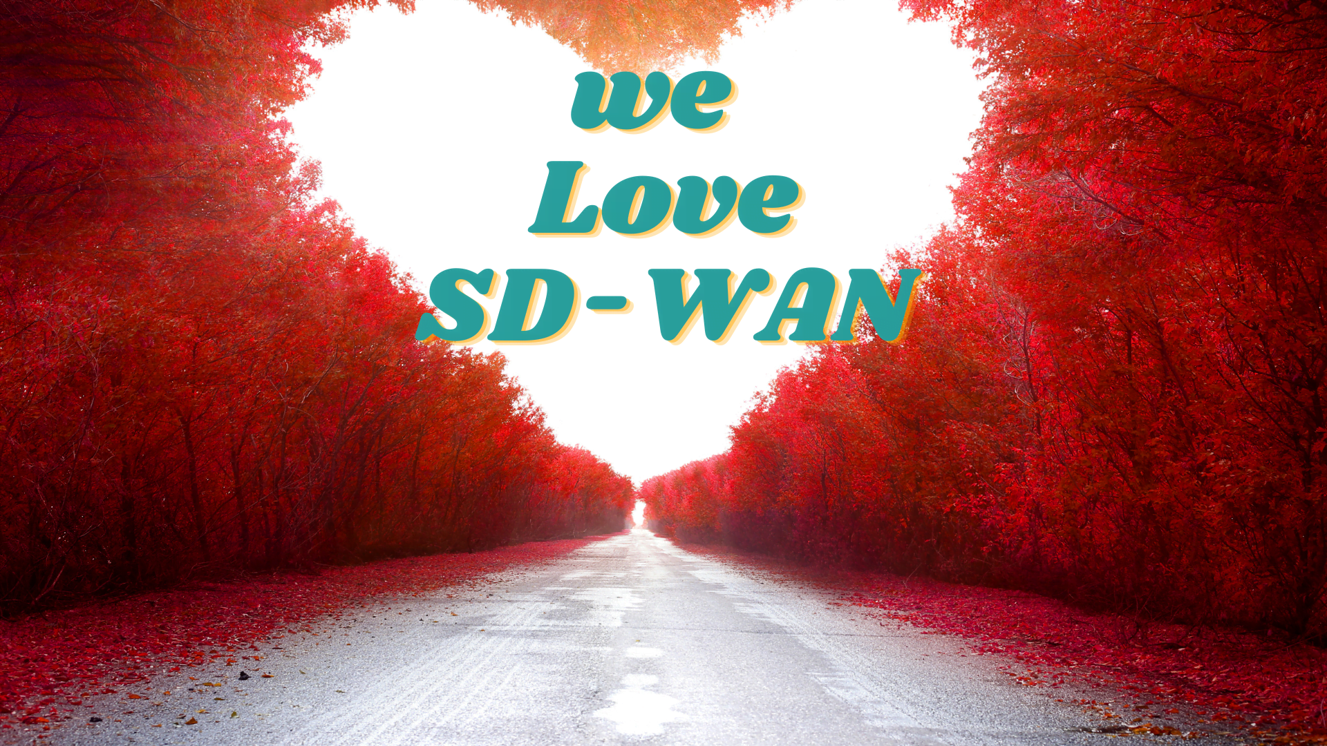 we love sd wan